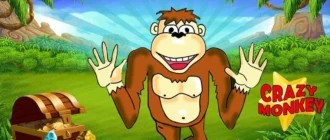 Crazy Monkey